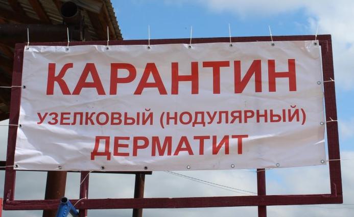 Источник изображения: moyaokruga.ru karantin2
