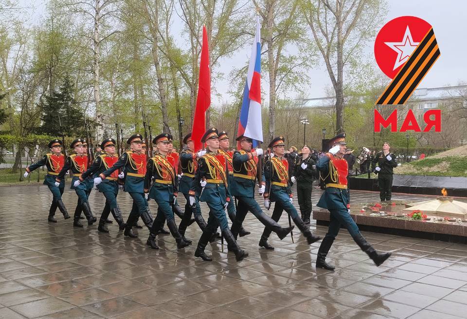 9 may kartinka