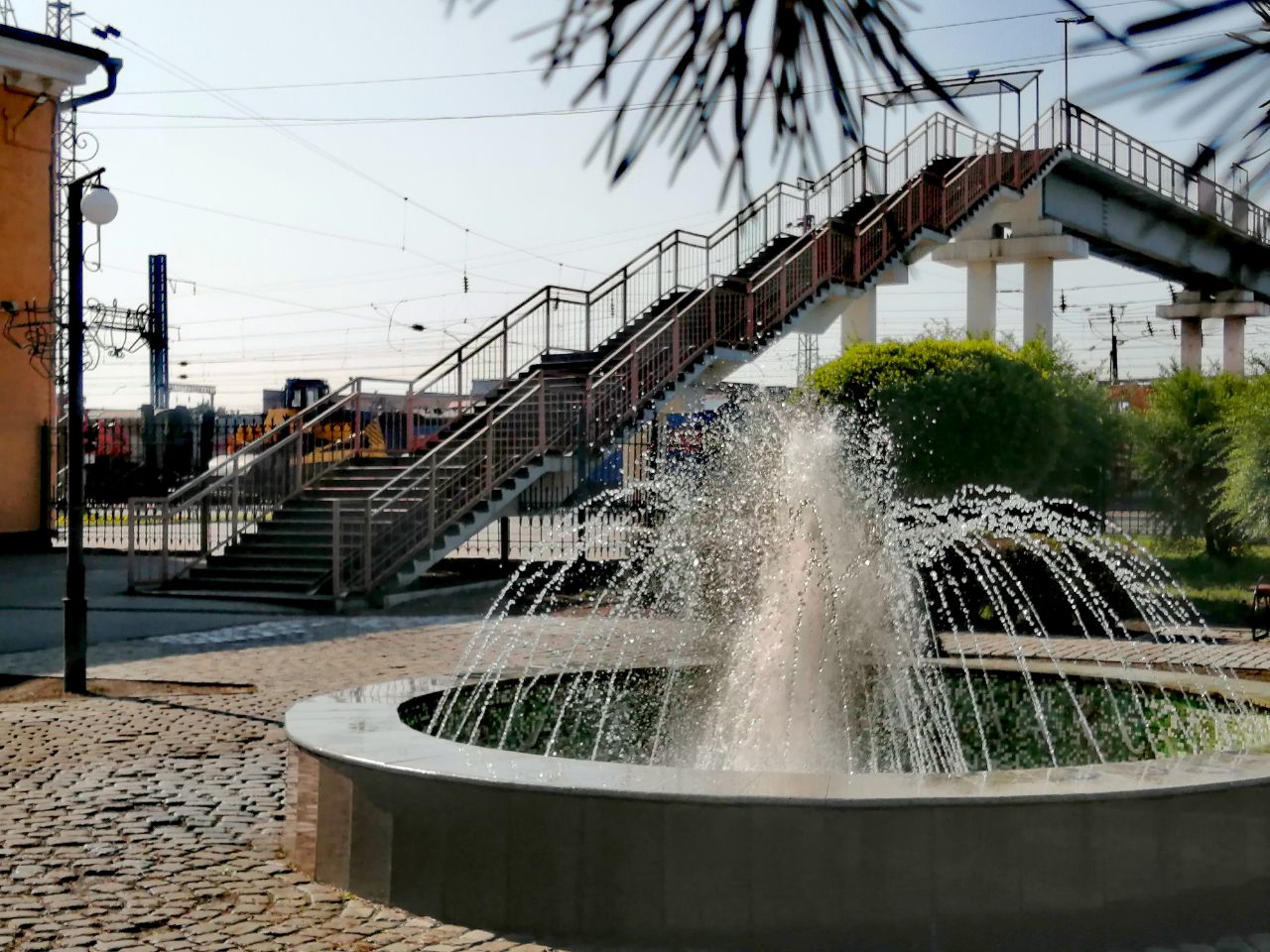 IMG 20230602 091459