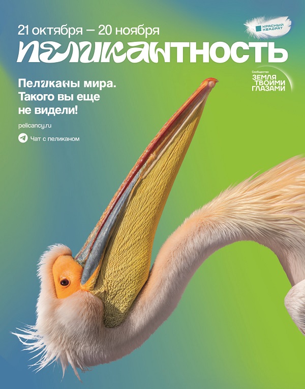 pelikantnost