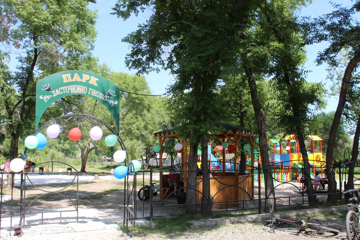 park novomix