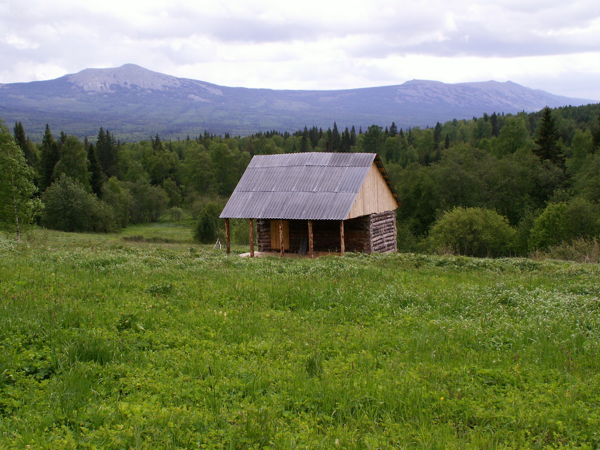 kordon taiga