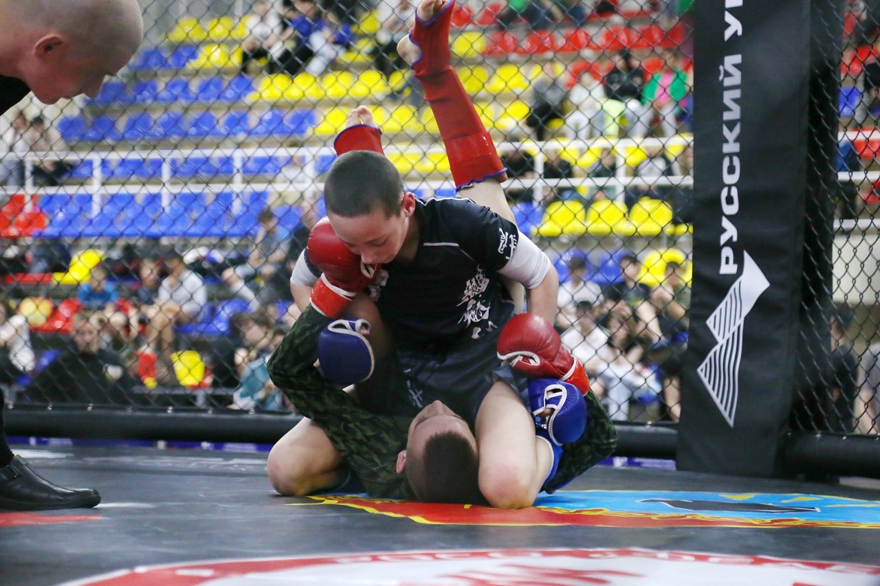 MMA itogi