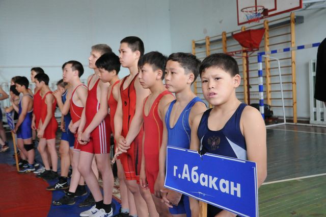 borzi grekorim
