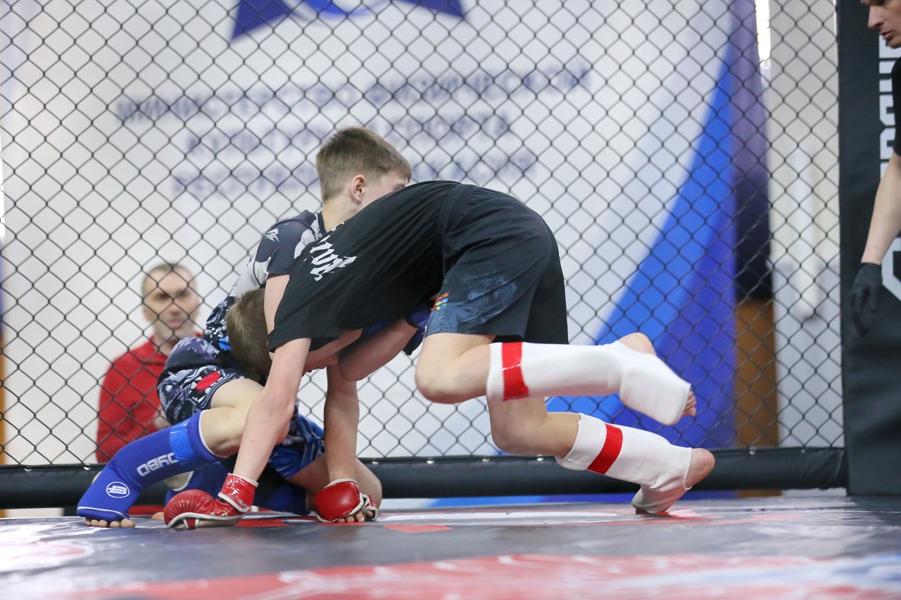 borzi mma