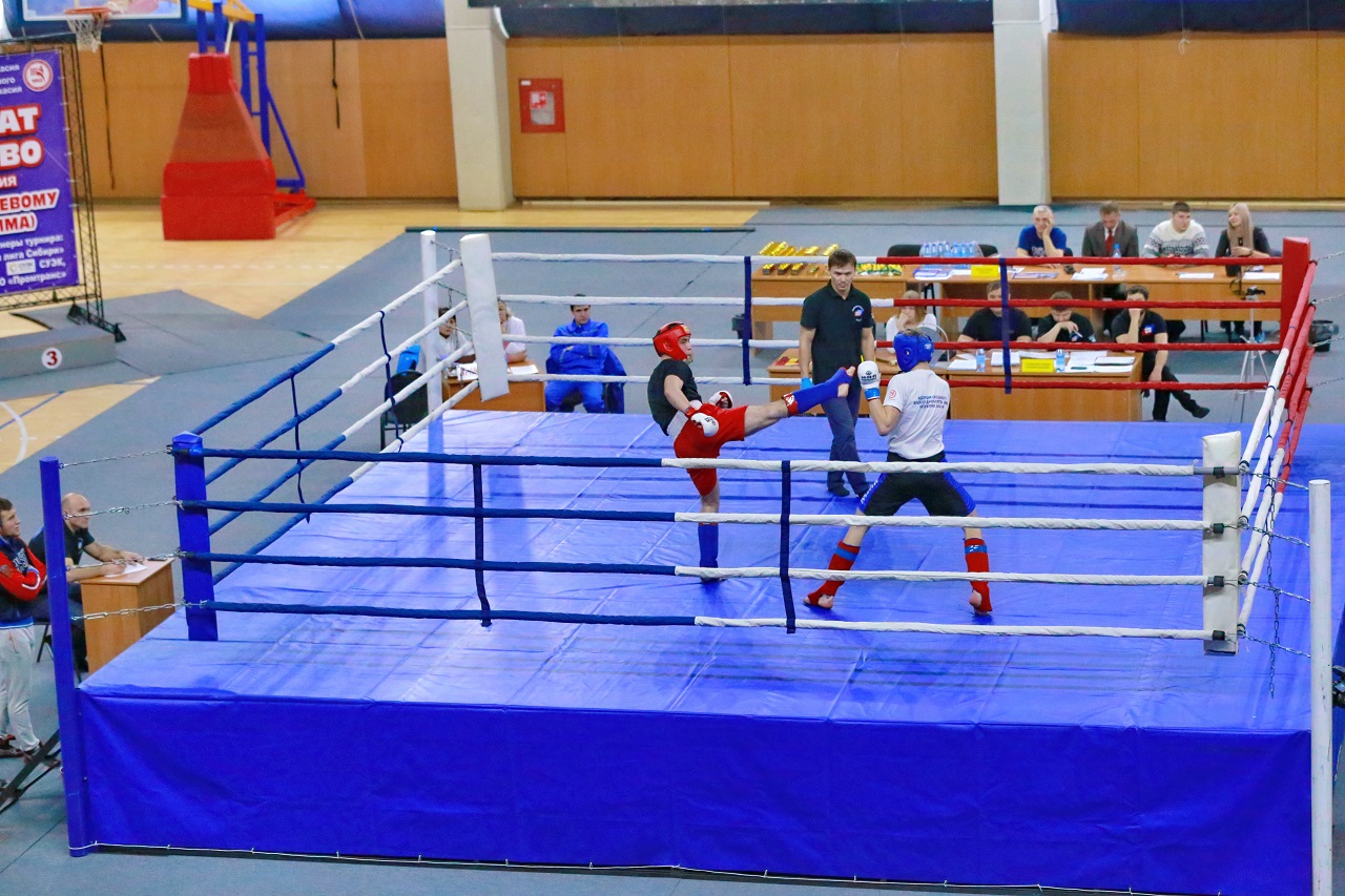 edinoborstva