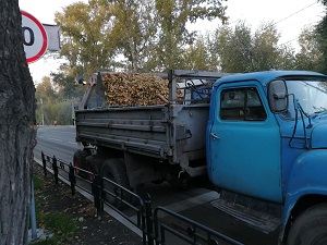 uborka listvy