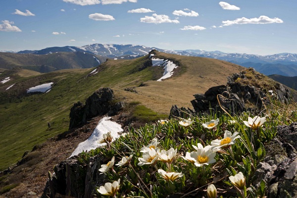 zapovednik