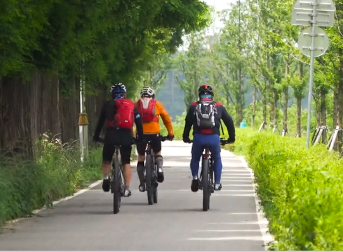 velosipedisti