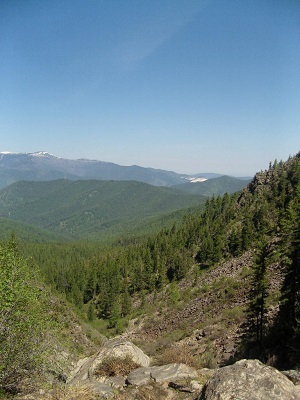 gori