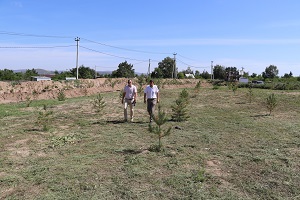 lesoparkovau zona