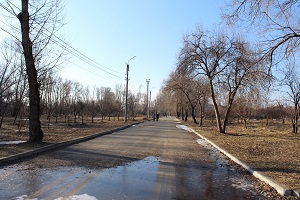 pkio vesna