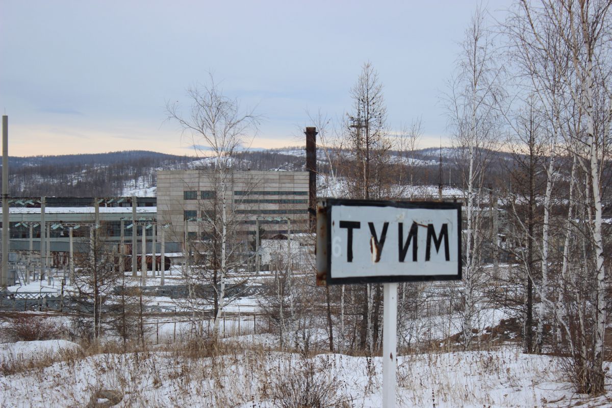 tuim zima